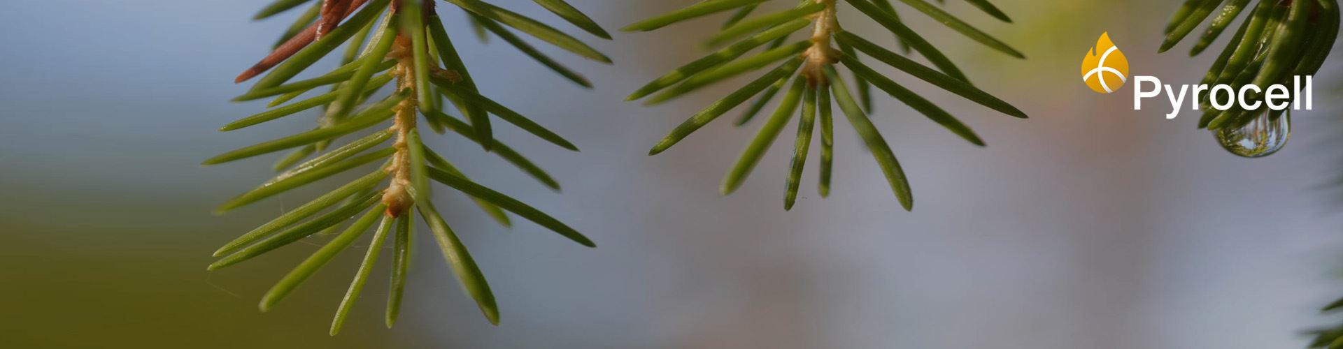 Environment - Setra Group