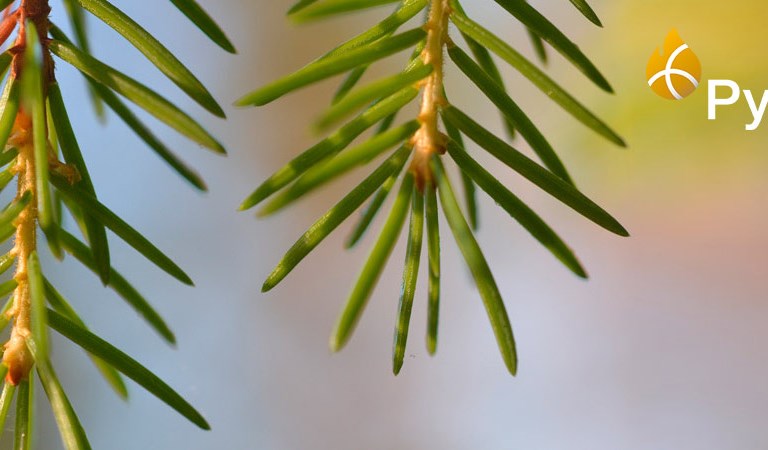 Klimatnytta - Setra Group